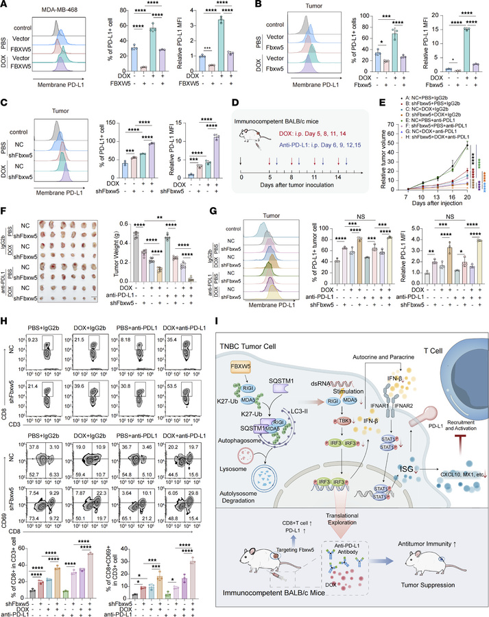 
FBXW5 knockdown improves the efficacy of ICB and chemoimmunotherapy.
(A...