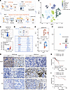 FBXW5 is associated with immunologically cold TME and unfavorable prognosis