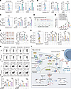 FBXW5 knockdown improves the efficacy of ICB and chemoimmunotherapy.