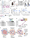 YAP/TAZ drive Tgfb2 expression from a distant enhancer.