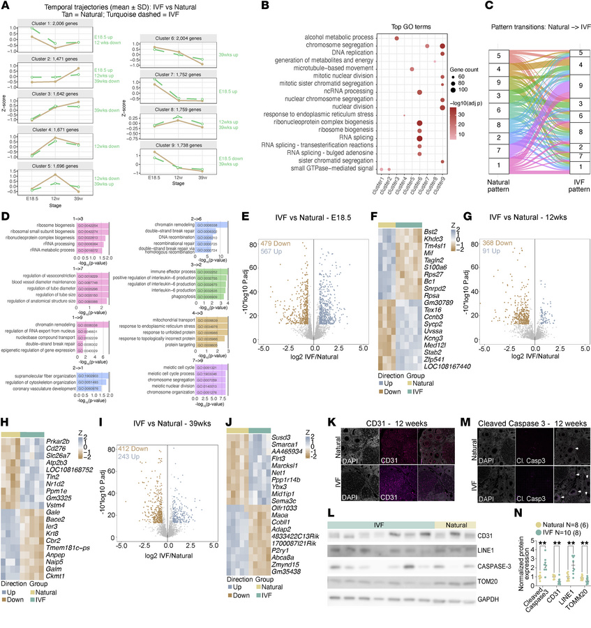 Transcriptome analysis of ovaries by RNA-seq at 3 developmental time poi...