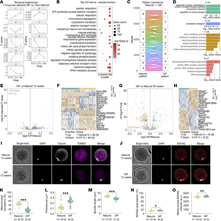 Transcriptomic analysis of primordial germ cells and single oocytes acro...