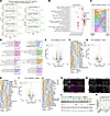 Transcriptome analysis of ovaries by RNA-seq at 3 developmental time points