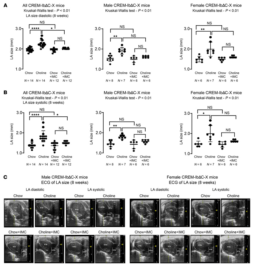 Choline diet increases the LA size during diastolic and systolic functio...