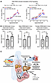 TMAO modulates autonomic signaling.