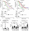 Kaplan-Meier plots and HRs of the incidence of paroxysmal AF and persistent