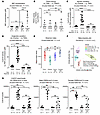 IMC concentrations in plasma and cecum samples and assessment of CutC/D act