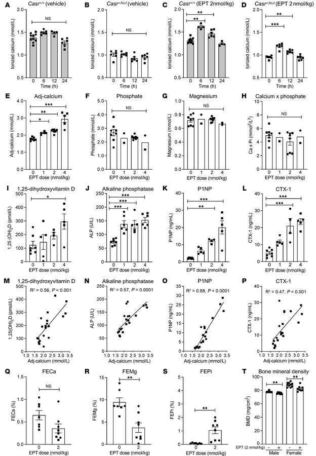 Mineral and bone effects of EPT.
(A–D) Blood ionized calcium alterations...