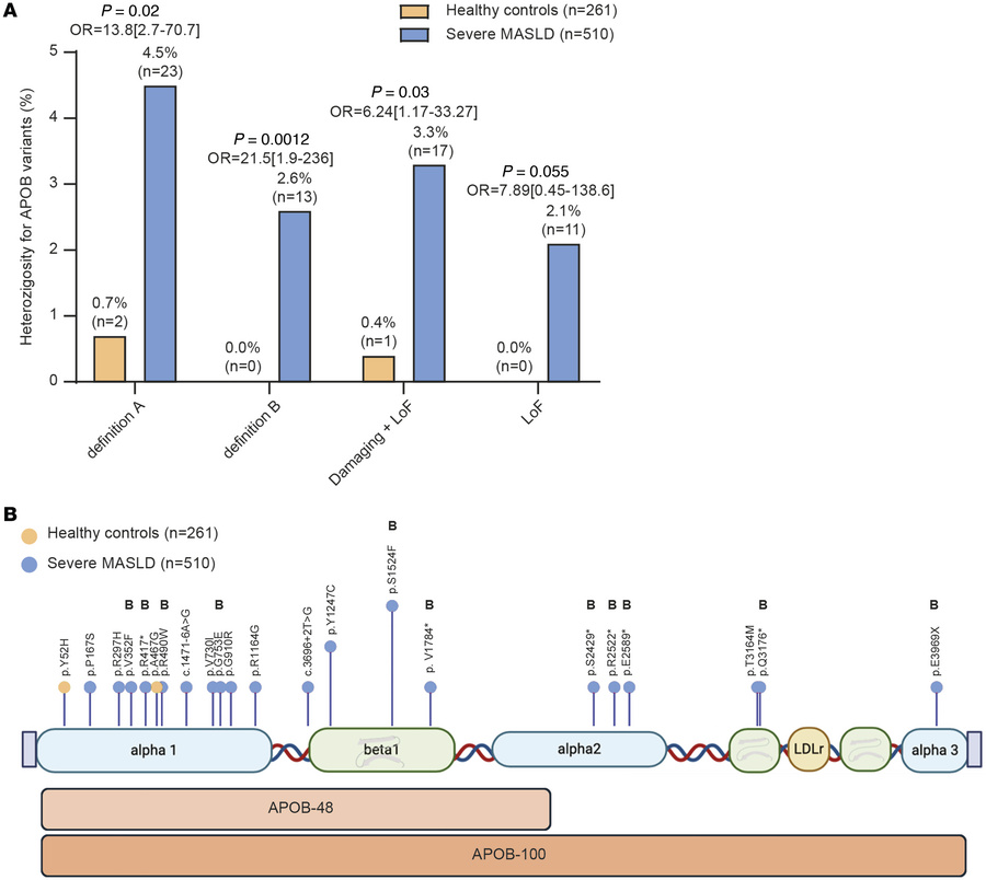 Risk associated with carriage of rare APOB variants in a severe MASLD ca...