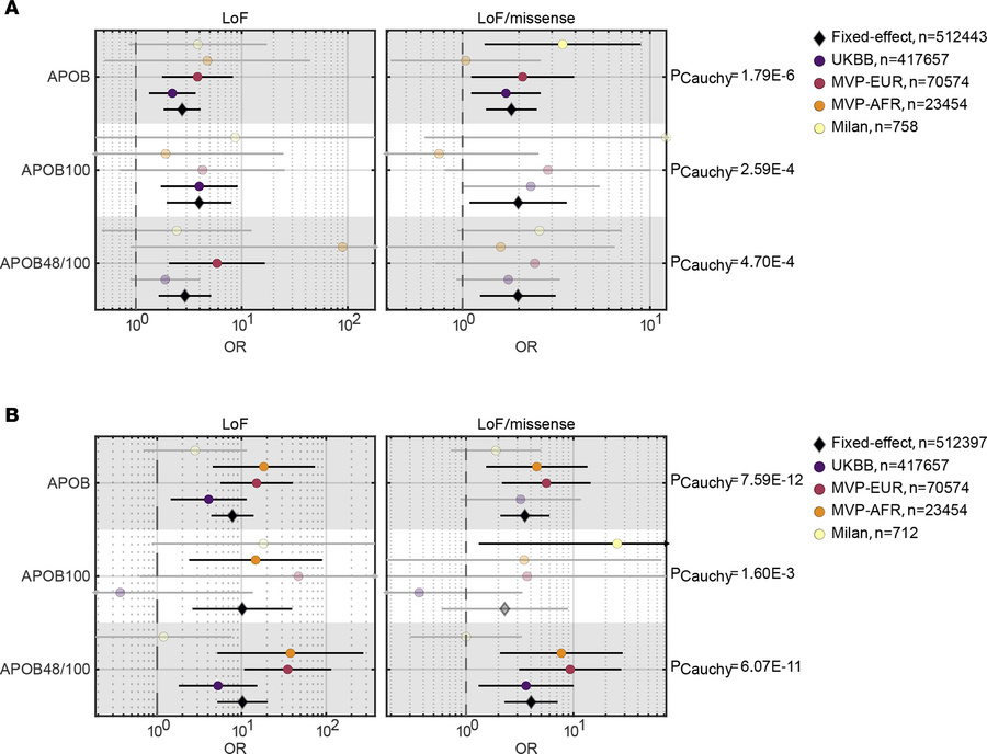 Cross-ancestry meta-analysis of rare APOB variants effects on liver outc...