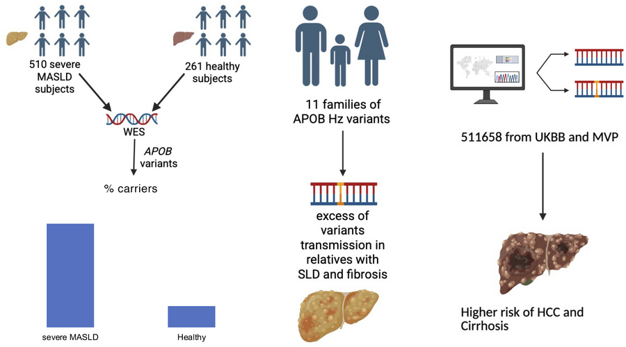 graphical abstract
