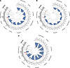 Circle plots for circulating lipoproteins, lipidomics, and metabolomics ana