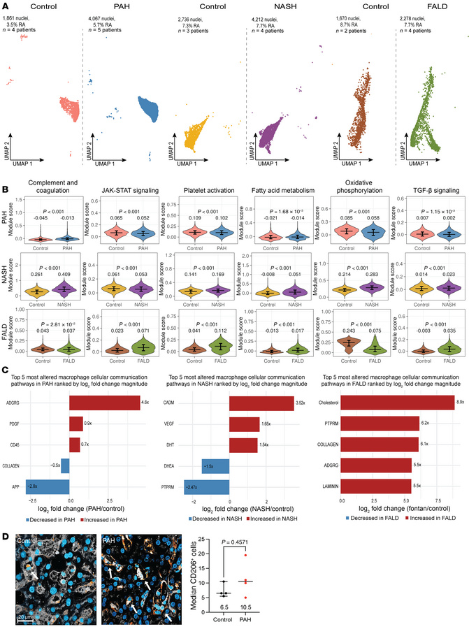 Proinflammatory complement signaling with suppressed JAK/STAT signaling ...