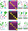 snRNA-seq identified alterations in the cellular landscape in PAH, NASH, an