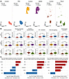 PAH ECs exhibited Warburg-like metabolism and alterations in cell adhesion
