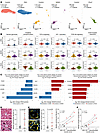 Upregulated HIF-1 and PI3K/Akt signaling characterized HSC signaling in PAH