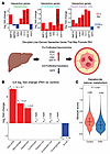 PAH altered the expression of vasoactive peptides in multiple cell types, h
