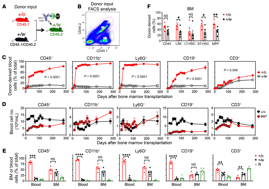 Nongenotoxic CD117-ASC is a safe and effective conditioning reagent for ...