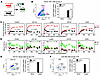 Nongenotoxic CD117-ASC is a safe and effective conditioning reagent for sel