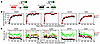 CRISPR/Cas9-mediated HSC WHIM allele inactivation corrects myeloid cytopeni