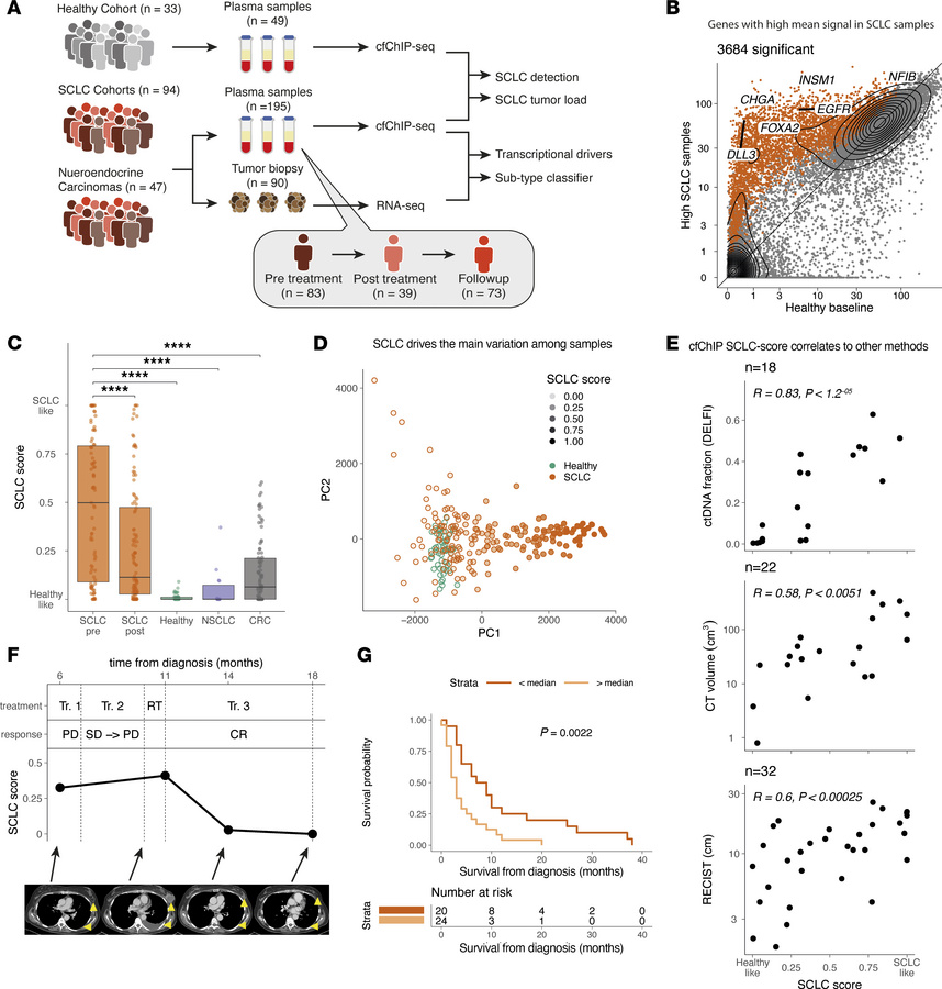 SCLC plasma samples exhibit distinct cfChIP-seq signals that correlate w...
