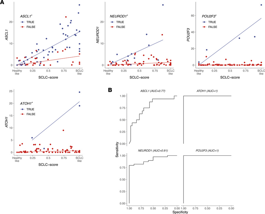 SCLC subtyping using cfChIP-seq signals.
(A) SCLC score (x axis) and cfC...