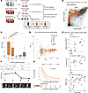 SCLC plasma samples exhibit distinct cfChIP-seq signals that correlate with