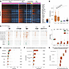 cfChIP-seq recovers SCLC tissue and cellular origins.