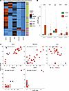 cfChIP-seq displays differential expression of SCLC transcription drivers.