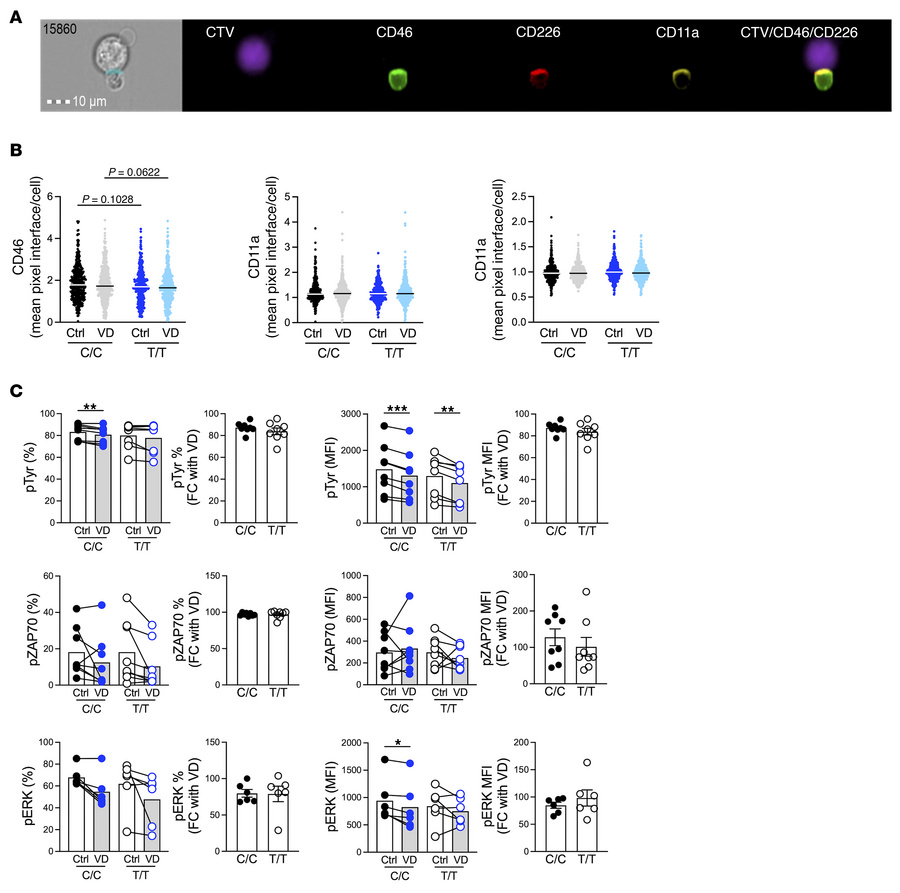 The CD226 risk allele does not modify early signaling events in the pres...