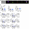 The CD226 risk allele does not modify early signaling events in the presenc