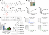 MESH1 is an efficient CoA phosphatase.