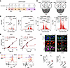 Minnelide induces cell death independent of transcriptional inhibition.