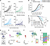 Minnelide reduces tumor growth in vivo in autochthonous sarcomas in dFLEx C