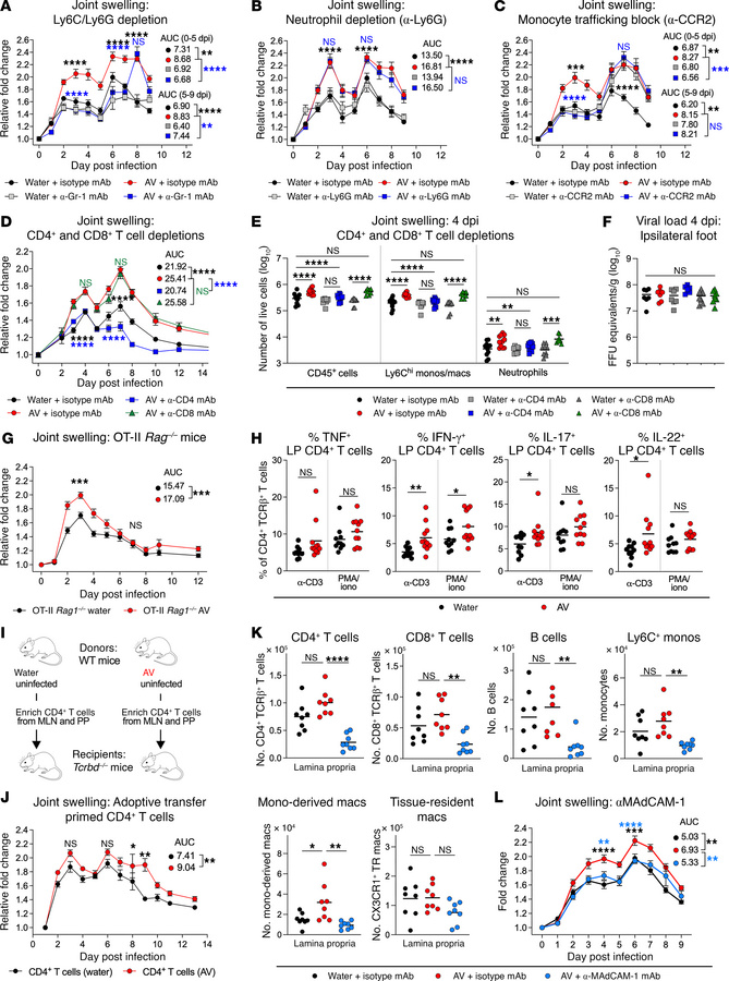Monocytes and CD4+ T cells drive increased joint inflammation associated...
