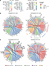Predicted cell–cell interactions between joint-associated CD4+ T and myeloi