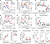 Microbial dysbiosis results in reduced SCFA production, increased intestina