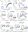 Rescue of CHIKV-induced foot swelling by bacterial colonization depends on