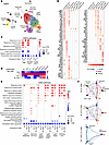 Oral antibiotics alter the transcriptional signature of tissue-resident and
