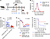 Characterization of RZLT7824 as an adjunct therapy to artesunate treatment