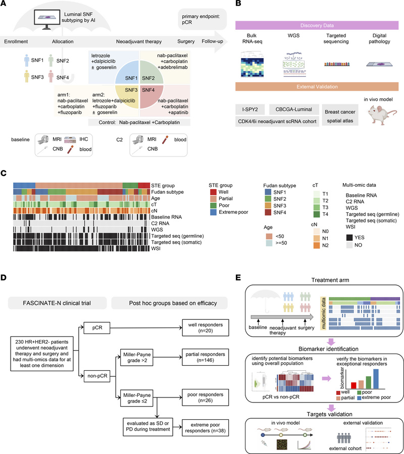 Trial design and data.
(A) Overall schematic of the HR+/HER2– cohort in ...