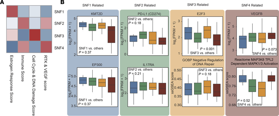 Expression of molecular biomarkers across the FASCINATE-N multiomics coh...
