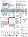 Key immune response patterns and predictive markers in SNF2 HR+/HER2– breas