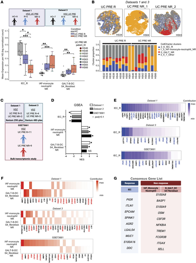 Cross-dataset validation of pretreatment response and nonresponse signat...