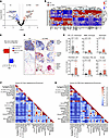 Disease-associated gene signatures and multicellular neighborhood in UC and