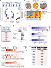 Cross-dataset validation of pretreatment response and nonresponse signature