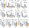 Reduced linoleoyl phospholipids and tetralinoleoyl cardiolipin in ACC dHKO