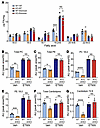 Inhibition of FAO by etomoxir normalizes the amount of linoleic acid in ACC