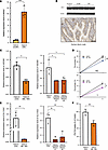 LRH-1 drives the HSD3B1/SLC10A2 axis regulating bile acid transport.
