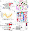 Proteomics analysis of the spinal cord and medulla oblongata in male SOD1G9